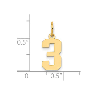 14k Yellow Gold Small Polished Number 3 Charm