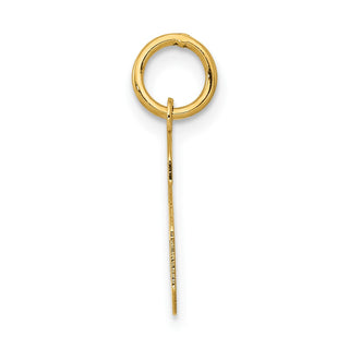 14k Yellow Gold Small Polished Number 6 Charm