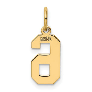 14k Yellow Gold Small Polished Number 6 Charm