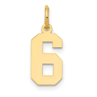 14k Yellow Gold Small Polished Number 6 Charm