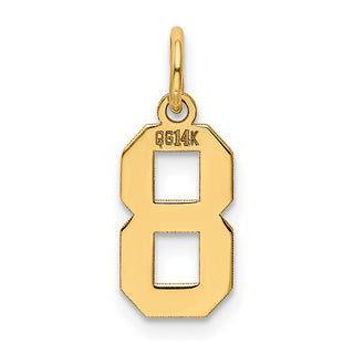 14k Yellow Gold Small Polished Number 8 Charm