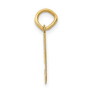 14k Yellow Gold Small Polished Number 9 Charm