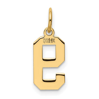 14k Yellow Gold Small Polished Number 9 Charm
