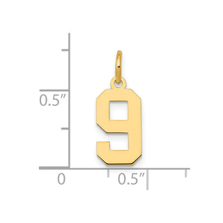 14k Yellow Gold Small Polished Number 9 Charm