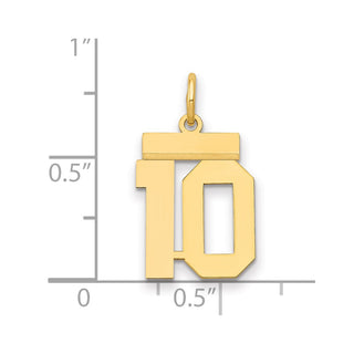14k Yellow Gold Small Polished Number 10 Charm LS10
