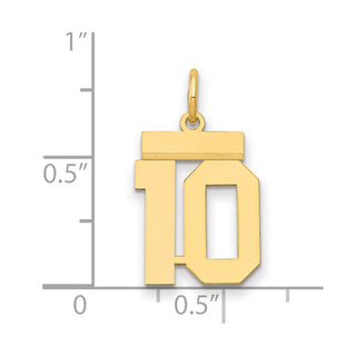 14k Yellow Gold Small Polished Number 10 Charm LS10