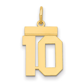 14k Yellow Gold Small Polished Number 10 Charm LS10