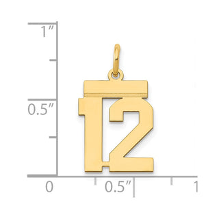 14k Yellow Gold Small Polished Number 12 Charm LS12