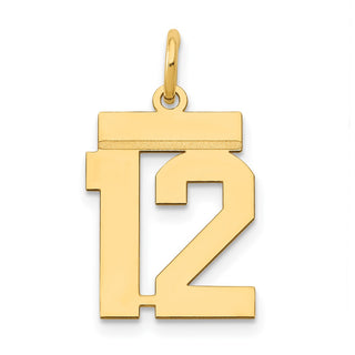 14k Yellow Gold Small Polished Number 12 Charm LS12