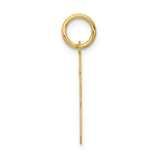 14k Yellow Gold Small Polished Number 13 Charm LS13