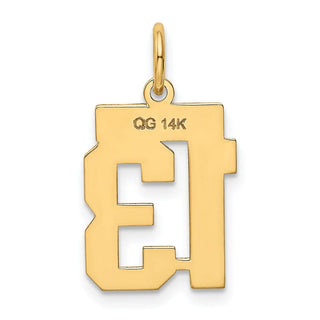 14k Yellow Gold Small Polished Number 13 Charm LS13