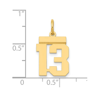 14k Yellow Gold Small Polished Number 13 Charm LS13
