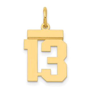14k Yellow Gold Small Polished Number 13 Charm LS13