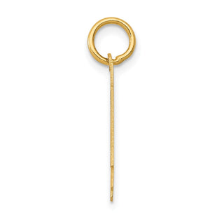 14k Yellow Gold Small Polished Number 14 Charm LS14