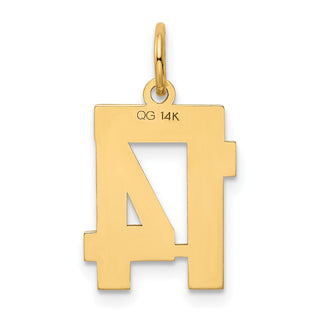 14k Yellow Gold Small Polished Number 14 Charm LS14