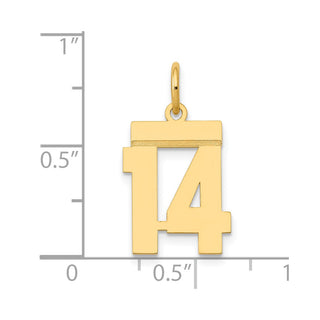 14k Yellow Gold Small Polished Number 14 Charm LS14