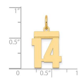 14k Yellow Gold Small Polished Number 14 Charm LS14