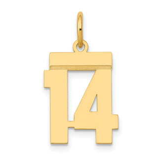 14k Yellow Gold Small Polished Number 14 Charm LS14