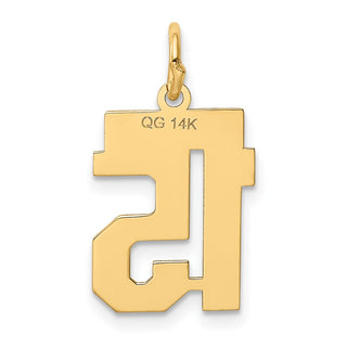 14k Yellow Gold Small Polished Number 15 Charm LS15