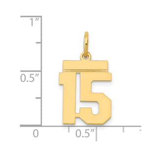 14k Yellow Gold Small Polished Number 15 Charm LS15