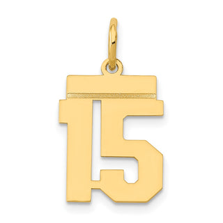 14k Yellow Gold Small Polished Number 15 Charm LS15