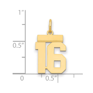 14k Yellow Gold Small Polished Number 16 Charm LS16