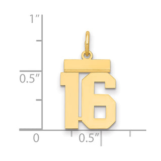 14k Yellow Gold Small Polished Number 16 Charm LS16