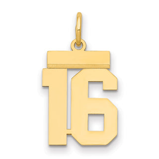 14k Yellow Gold Small Polished Number 16 Charm LS16