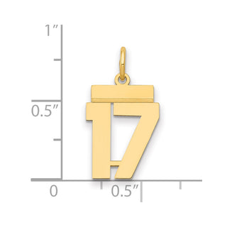 14k Yellow Gold Small Polished Number 17 Charm LS17