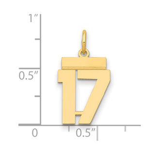 14k Yellow Gold Small Polished Number 17 Charm LS17