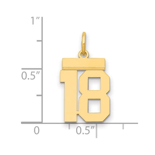 14k Yellow Gold Small Polished Number 18 Charm LS18