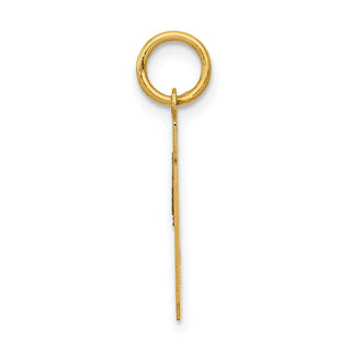 14k Yellow Gold Small Polished Number 19 Charm LS19