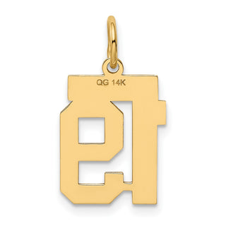 14k Yellow Gold Small Polished Number 19 Charm LS19