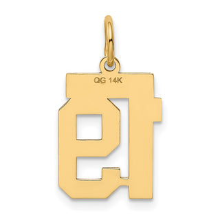 14k Yellow Gold Small Polished Number 19 Charm LS19