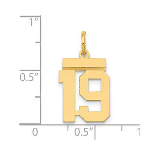 14k Yellow Gold Small Polished Number 19 Charm LS19