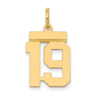 14k Yellow Gold Small Polished Number 19 Charm LS19