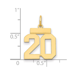 14k Yellow Gold Small Polished Number 20 Charm