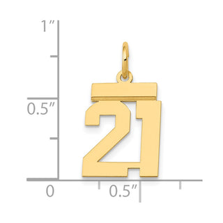 14k Yellow Gold Small Polished Number 21 Charm LS21
