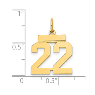 14k Yellow Gold Small Polished Number 22 Charm LS22