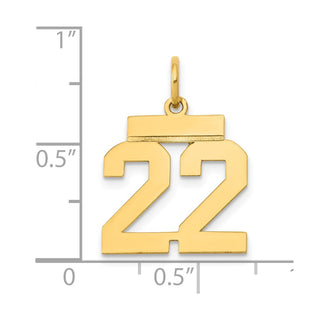 14k Yellow Gold Small Polished Number 22 Charm LS22