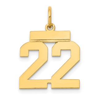 14k Yellow Gold Small Polished Number 22 Charm LS22