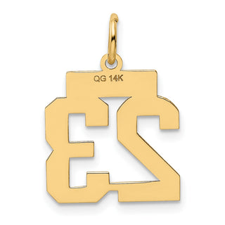 14k Yellow Gold Small Polished Number 23 Charm LS23