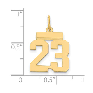 14k Yellow Gold Small Polished Number 23 Charm LS23