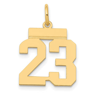 14k Yellow Gold Small Polished Number 23 Charm LS23
