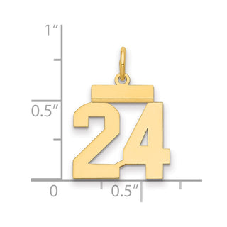 14k Yellow Gold Small Polished Number 24 Charm LS24