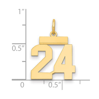 14k Yellow Gold Small Polished Number 24 Charm LS24