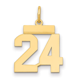 14k Yellow Gold Small Polished Number 24 Charm LS24