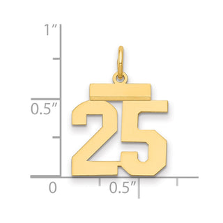 14k Yellow Gold Small Polished Number 25 Charm LS25