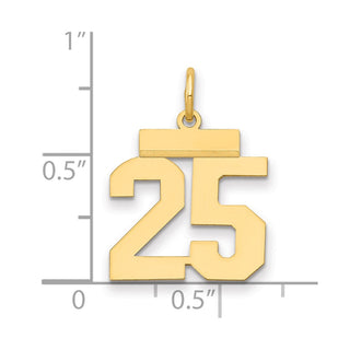 14k Yellow Gold Small Polished Number 25 Charm LS25