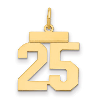 14k Yellow Gold Small Polished Number 25 Charm LS25